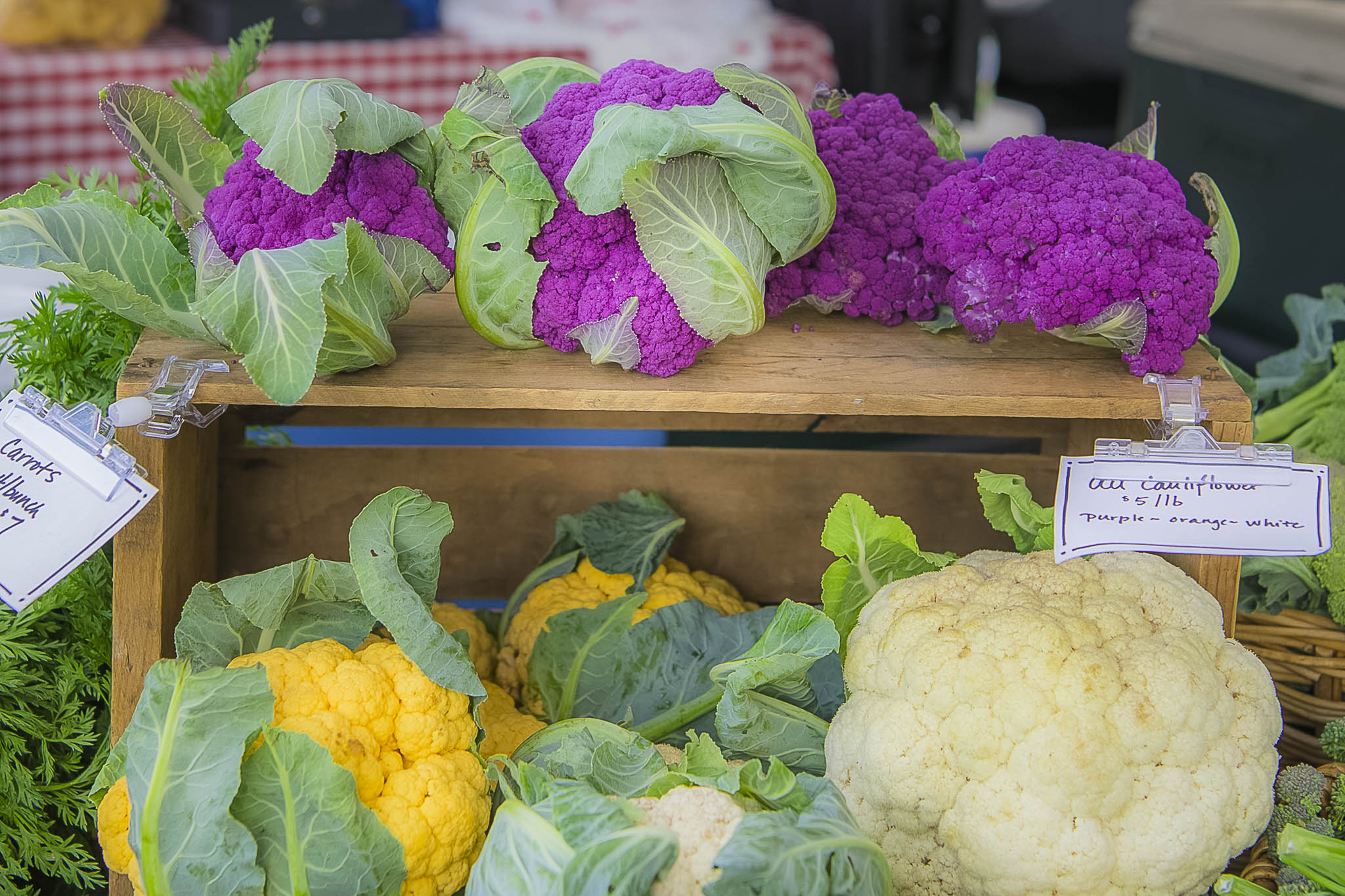 Purple cauliflowers and Yellow cauliflowers in a farmer market. Customer is holding the products. Commercial photographer in Yakima Valley, WA.