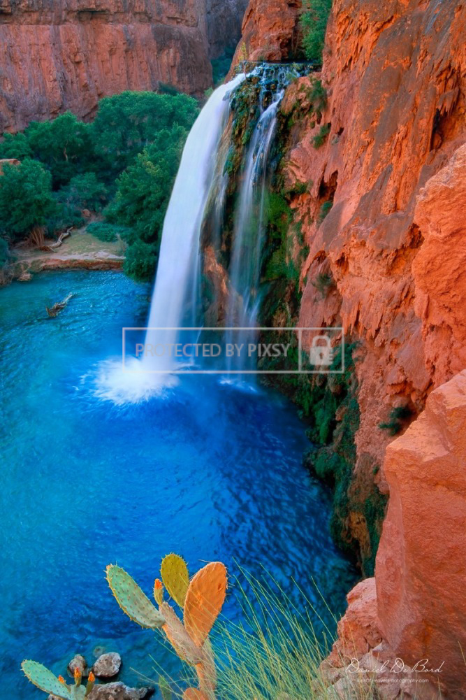 Fine art nature photograph of a Grand Canyon waterfall with a foreground cactus and vibrant orange canyon hues.